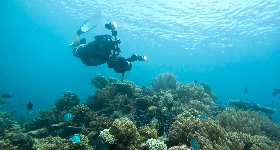Boat Dive Pemuteran Offshore