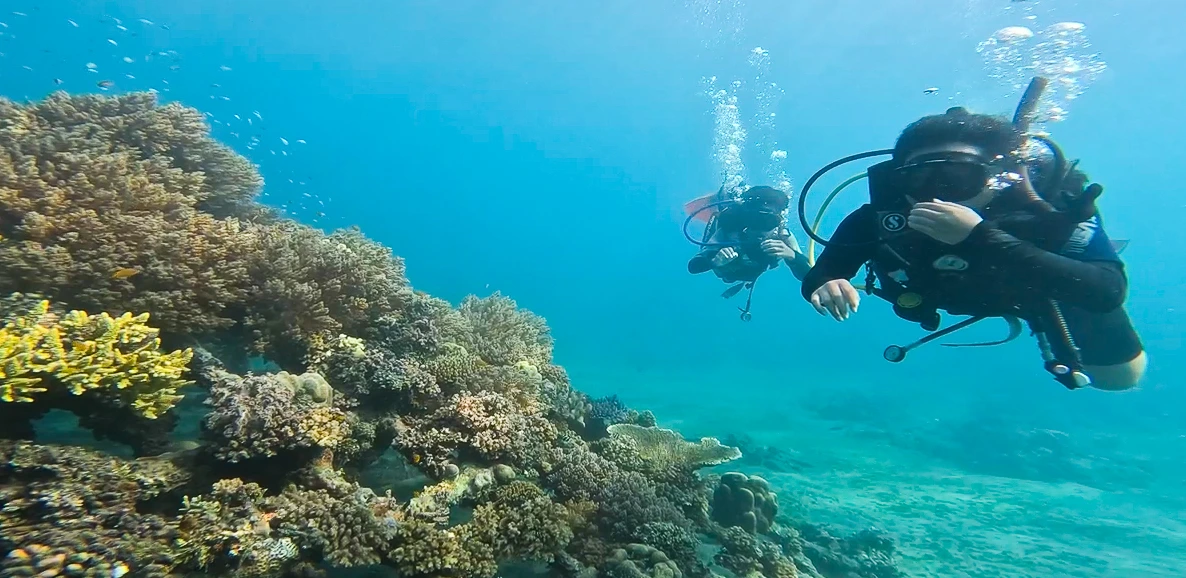 Shore Dive Biorock Project