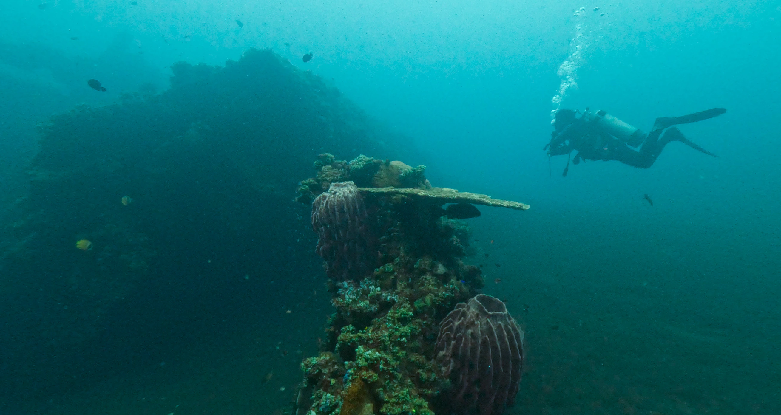 Fun Dive Tulamben